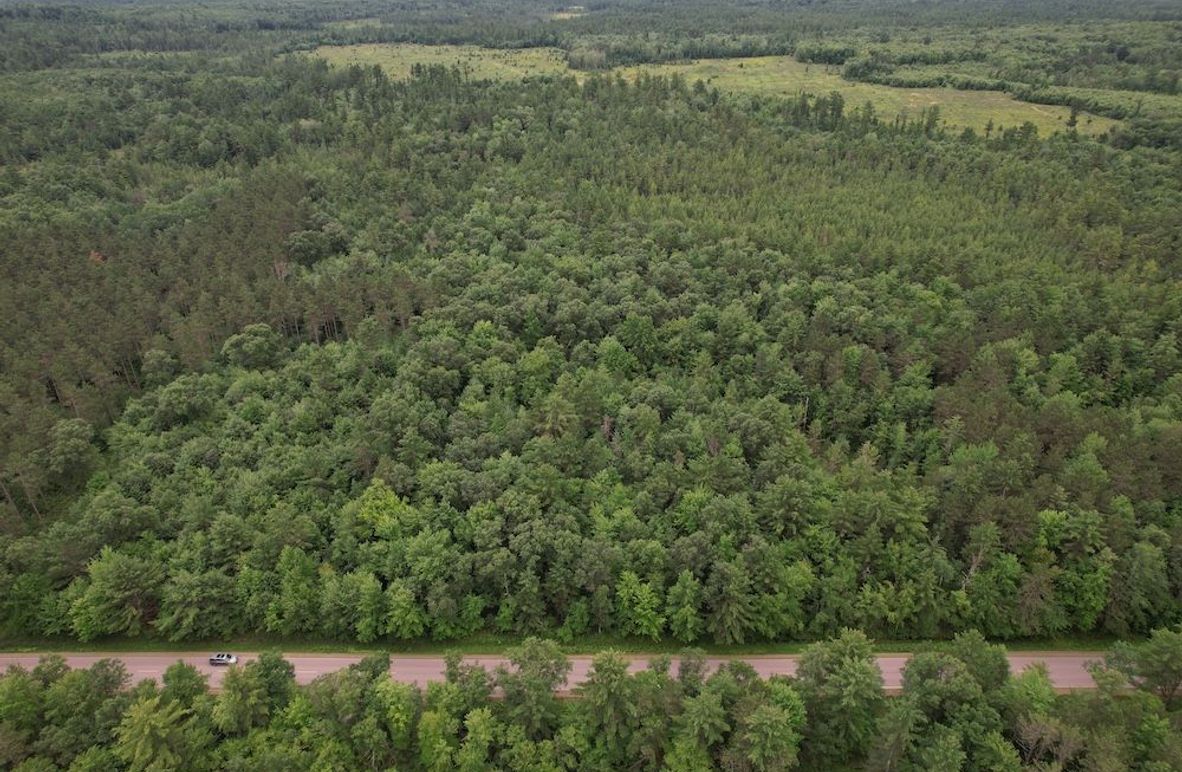 dji_fly_20250718_172054_305_1752877647492_photo