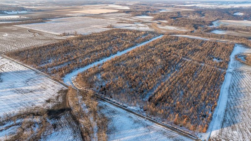 DJI_20251209074821_0004_D