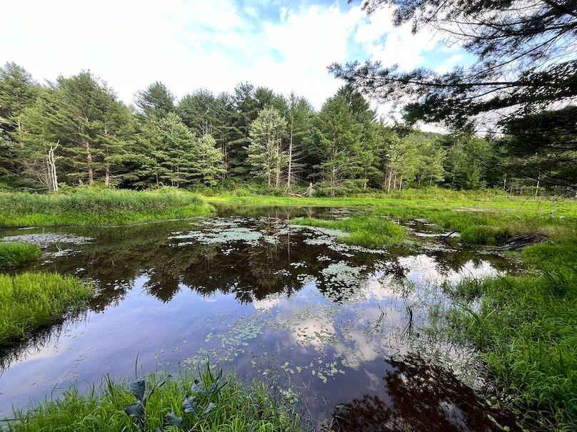 Chemung_78.26+Gutchess_Lumber_Photos_30