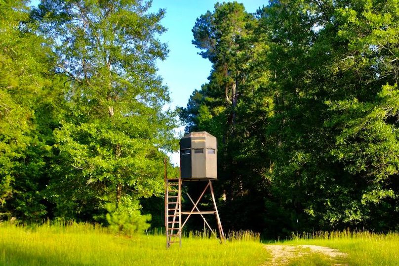 6C6E11F9-DF6B-440E-9C5E-613E7D4E0996_1_201_a