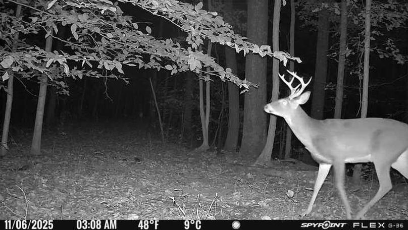 45222517-61D6-43B6-A267-618132AECA7B