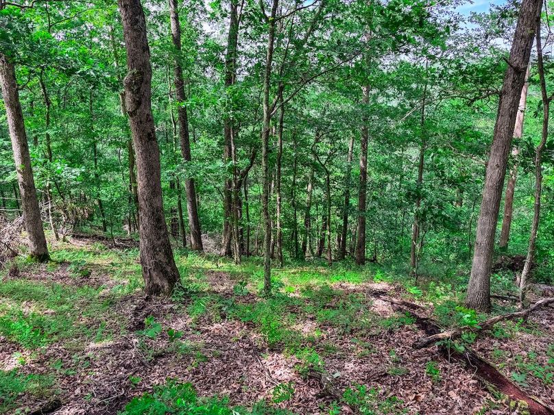 Wirt, WV 137.45 AC Full-57