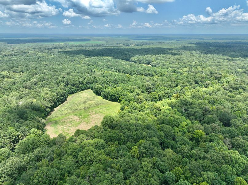 dji_fly_20230731_132738_447_1690845684764_photo