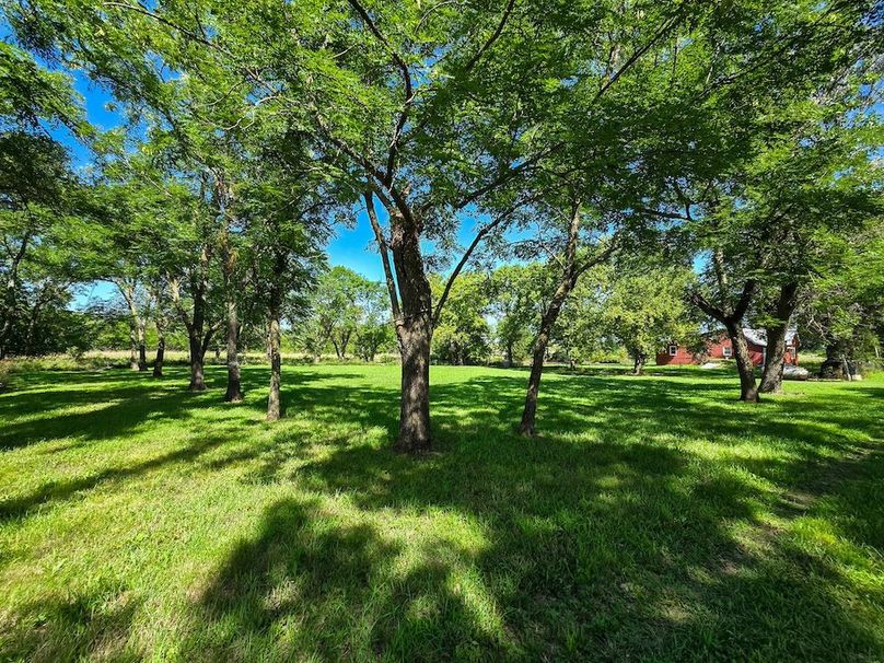 Copy of 20250729_104305