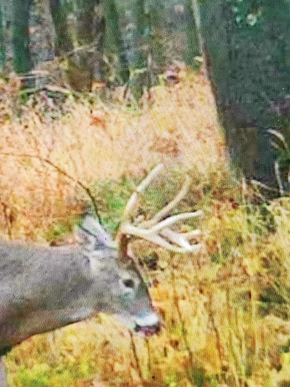 received_1156904365437882