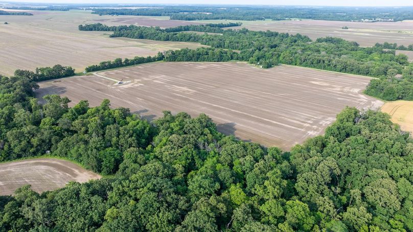 DJI_20250610045433_0009_D