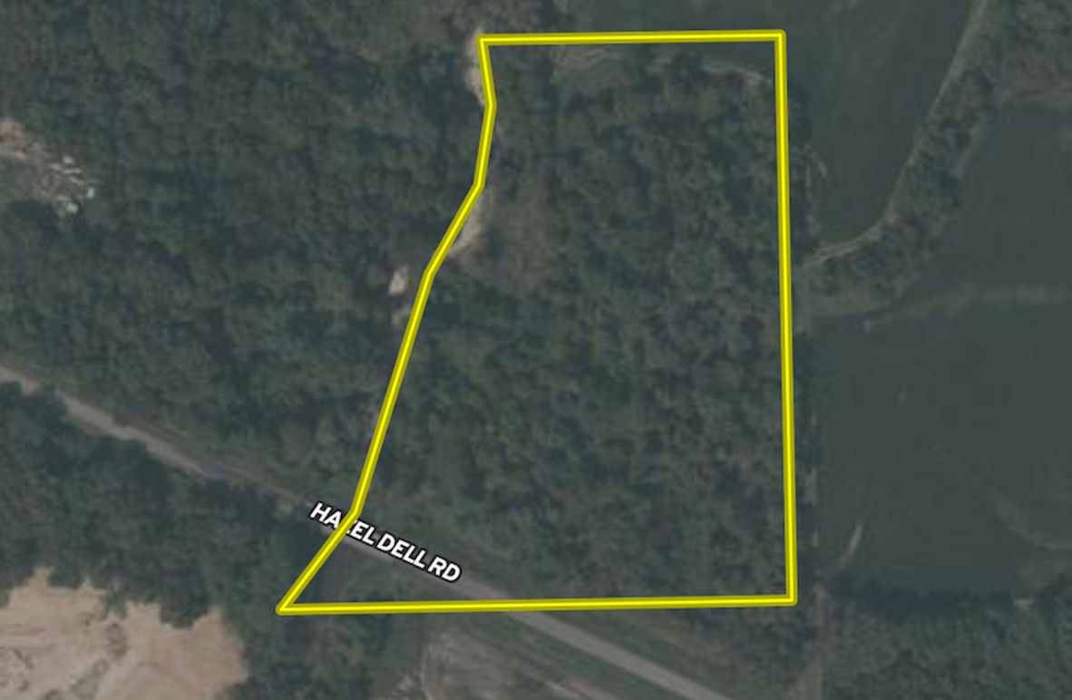 Screenshot 2026-03-08 at 4.20.04 PM