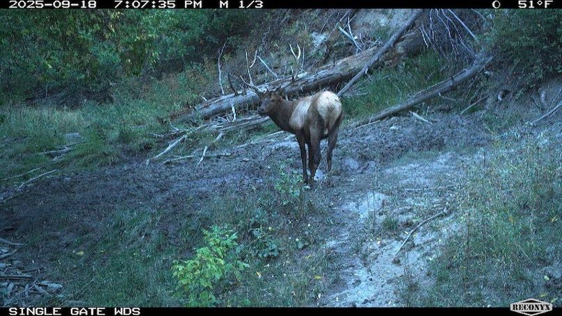 D36D8CEB-CF56-4969-9AF4-66DBAD176300