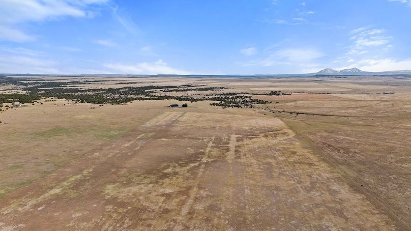 DJI_20250408164132_0034_D