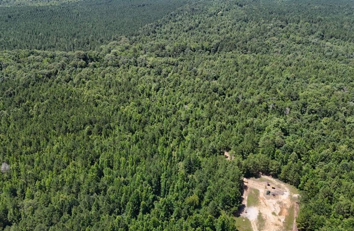 DJI_20250624035551_0646_D