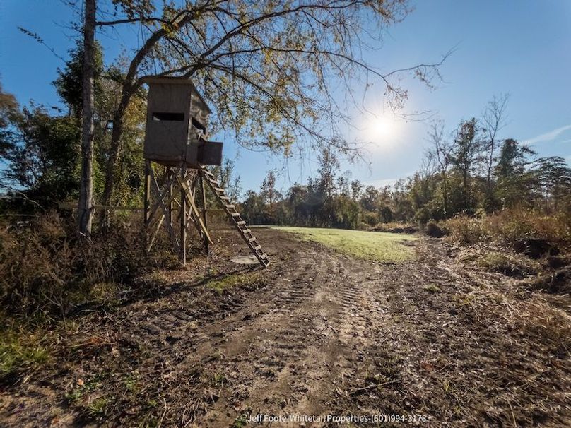 Claiborne Co-189-Geronimo-08
