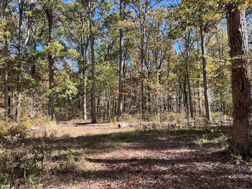 jeff 5020251111_0326