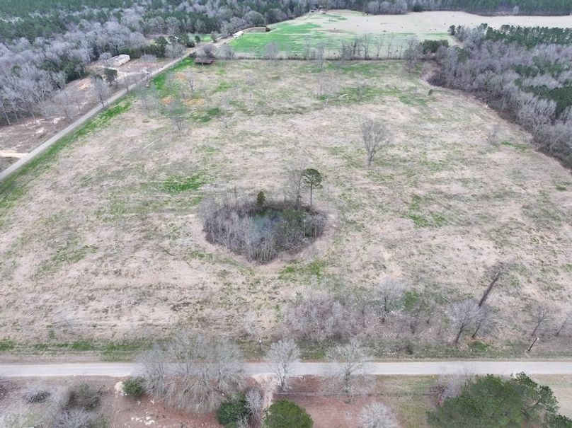 Copy of dji_fly_20260217_143708_0151_1771436905265_photo