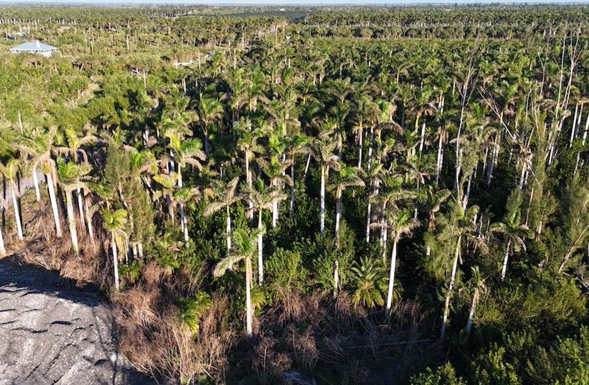 DJI_20241219163456_0214_D