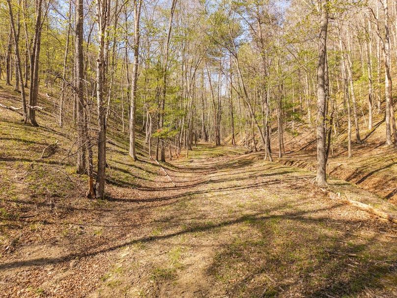 DJI_20260422162636_0165_D