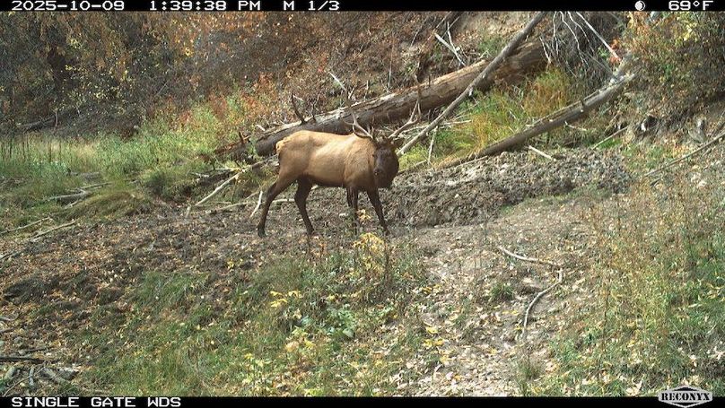 CCC6B599-2AE1-4693-A82C-BABAA5833297