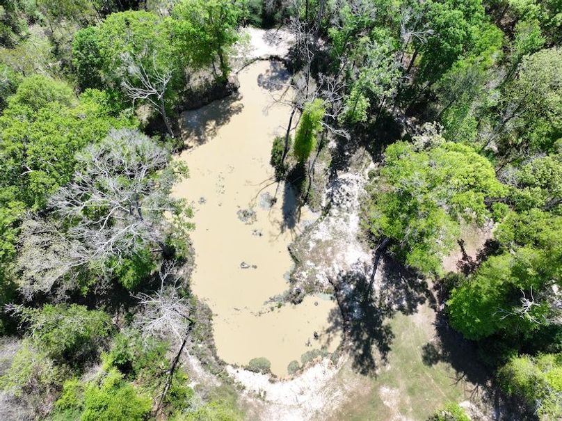 dji_fly_20260327_120638_0014_1776088034569_photo