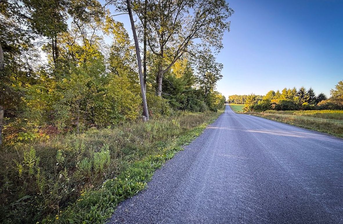 Copy of Wood Tract 1 Photo 13