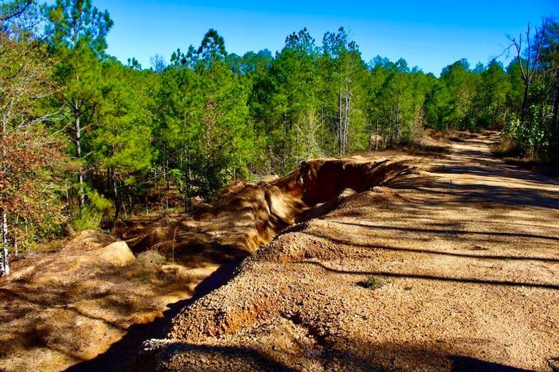 470D0D27-32F8-4B6B-9F14-7F6DA2932D01_1_105_c