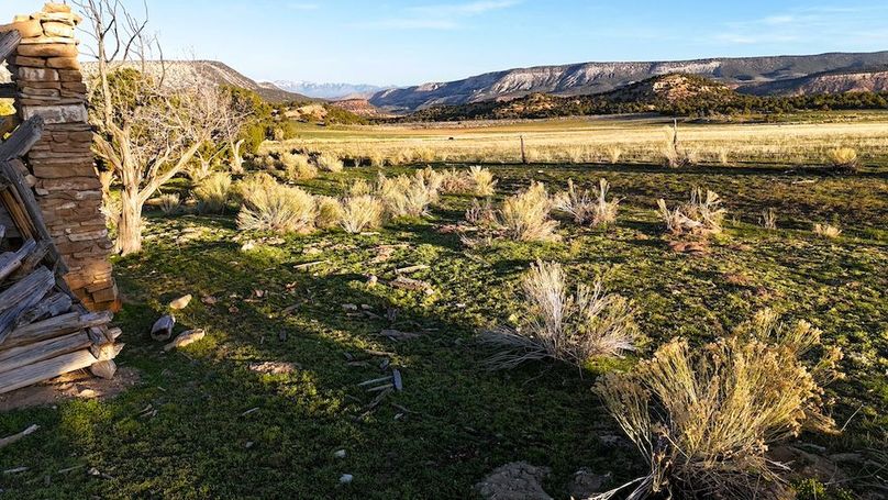 DJI_20250411073547_0063_D