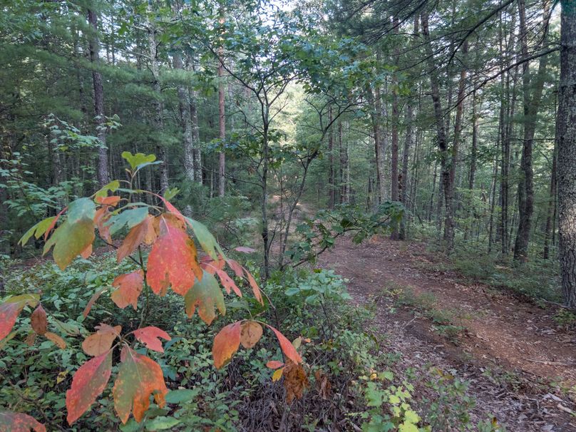 20_30.75_Alleghany_VA