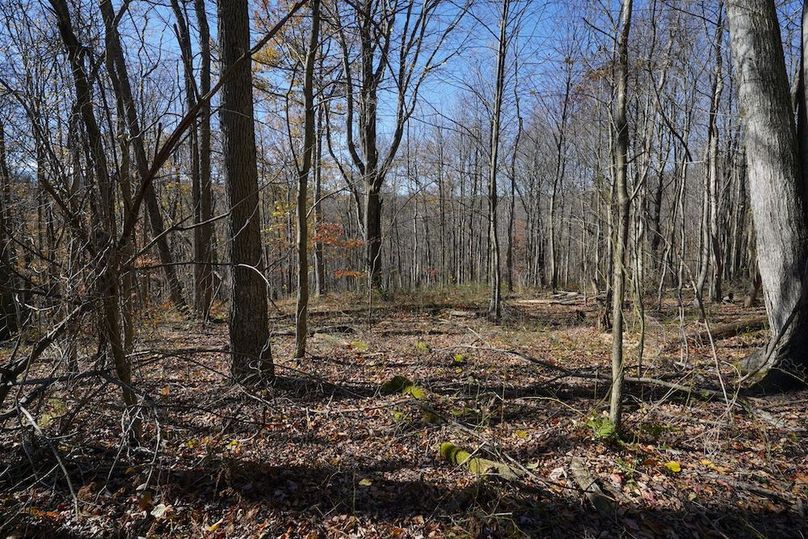 Somerset, 10.91, Tinkey-48