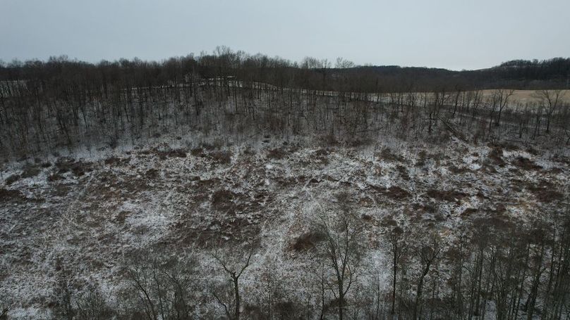 dji_fly_20260116_131948_87_1768588234018_photo