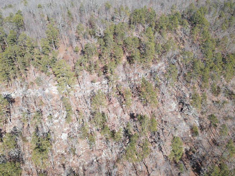 DJI_0056