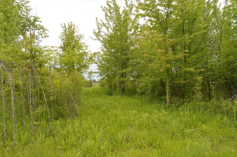 Trail leading to tillable