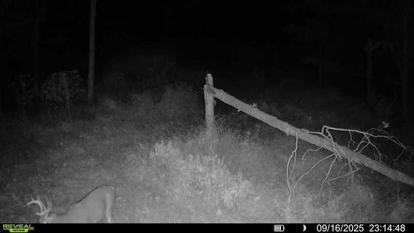 016578004709009-74-3-09162025231448-SYFW00961