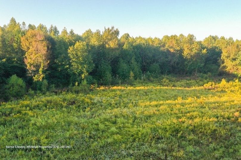 DeSoto 329 Prewett (Thompson) -07