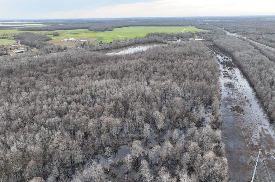 dji_fly_20250201_092018_880_1738428557849_photo