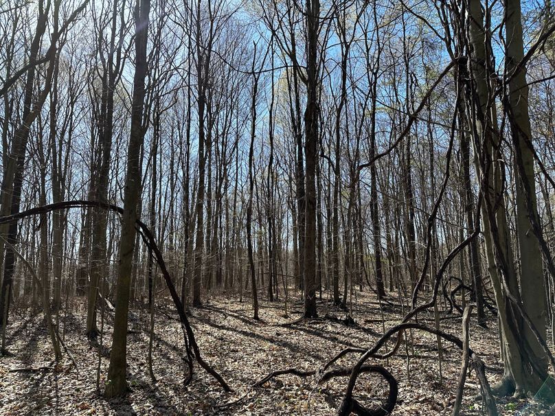 3B683CC6-52B6-45EC-B074-665279F93CB7