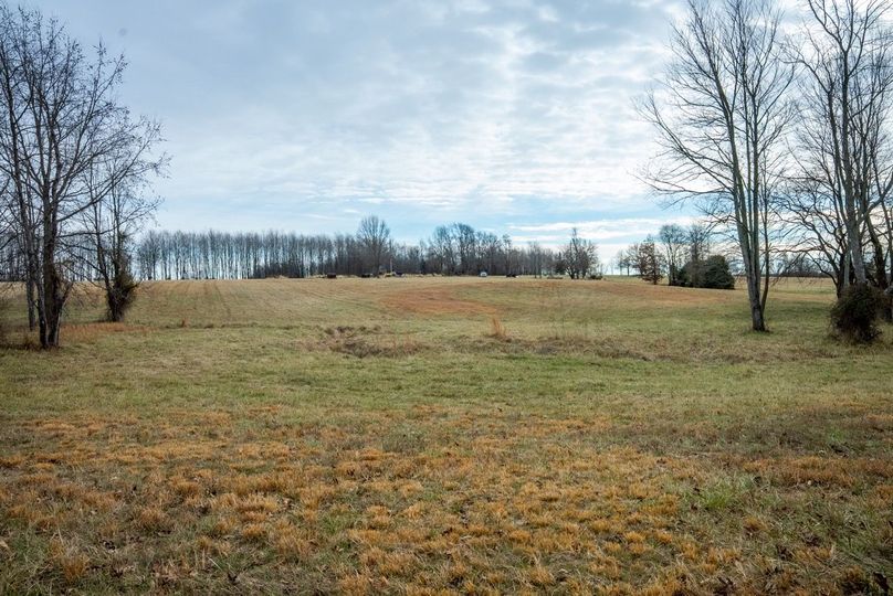 Copy of DSC00715 Large