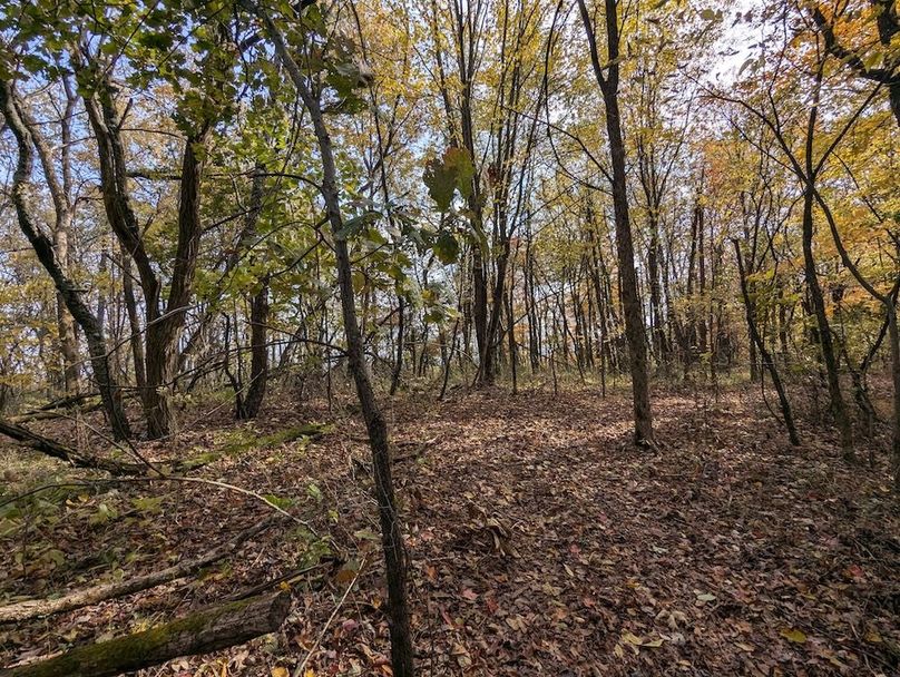 PXL_20251101_182037819