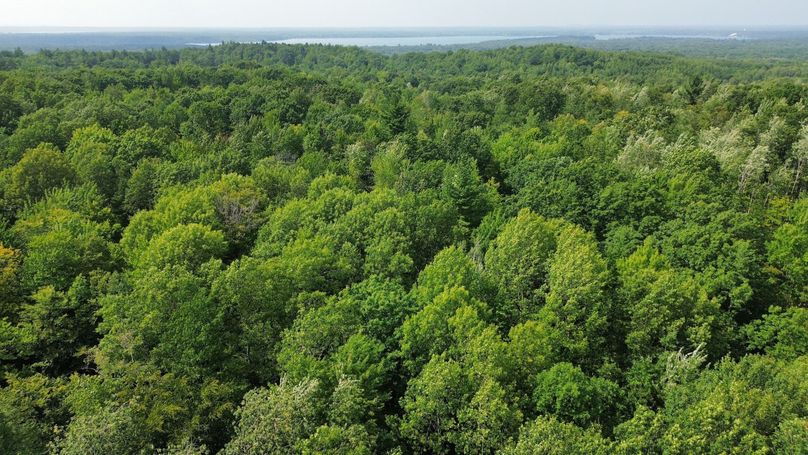 dji_fly_20230809_154926_197_1691610598969_photo_optimized