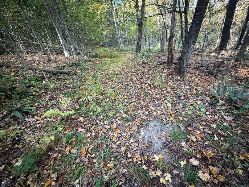 Tompkins NY 87 Allen Photos 40