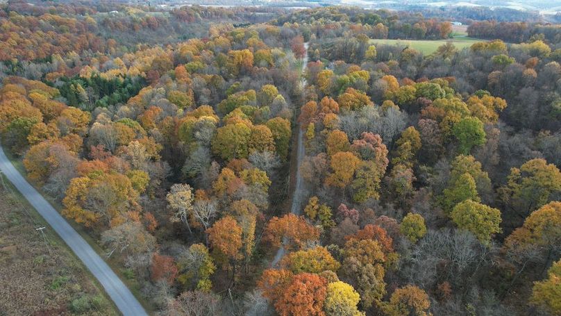 dji_fly_20251105_122244_902_1762380932623_photo