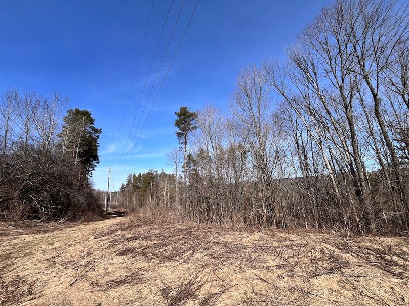 Lewis_26_Somberg Photo 32