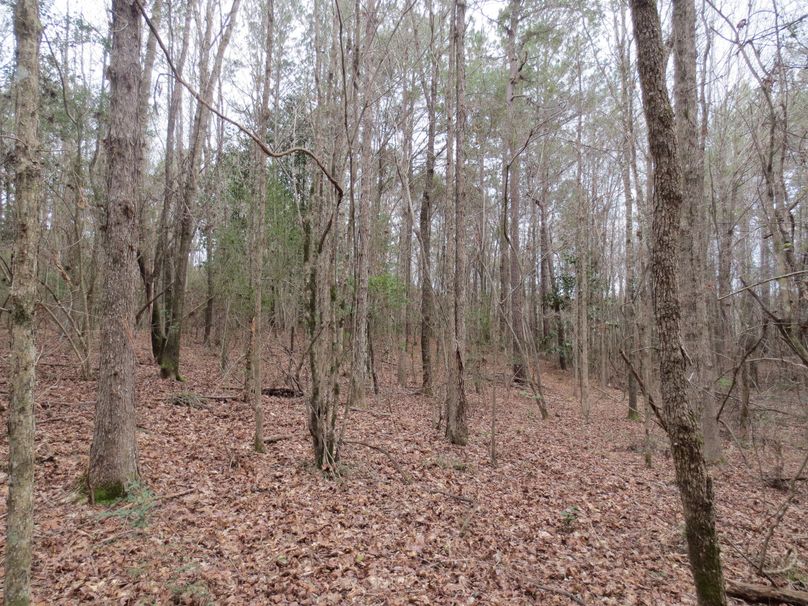 7E9E1D22-1F3C-41C1-A83E-527945ED66AA