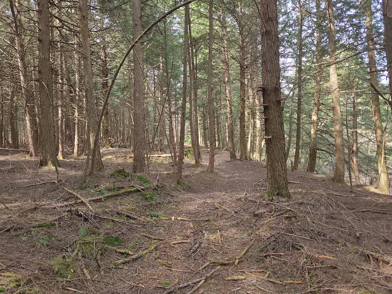 photo_fa5ad73d-26ba-4d4b-8c10-549c7ea01c9a