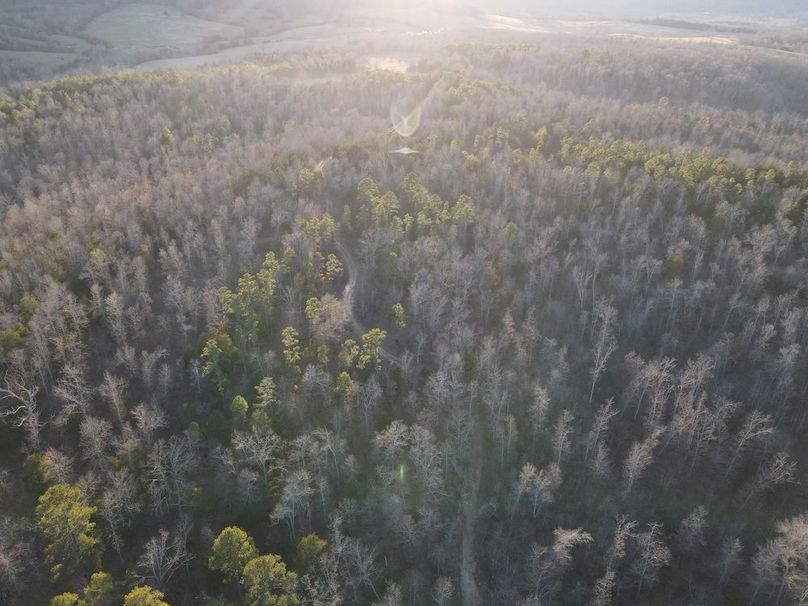 DJI_0322