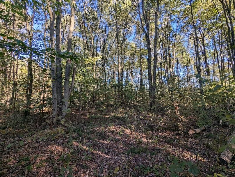 PXL_20251001_205558133