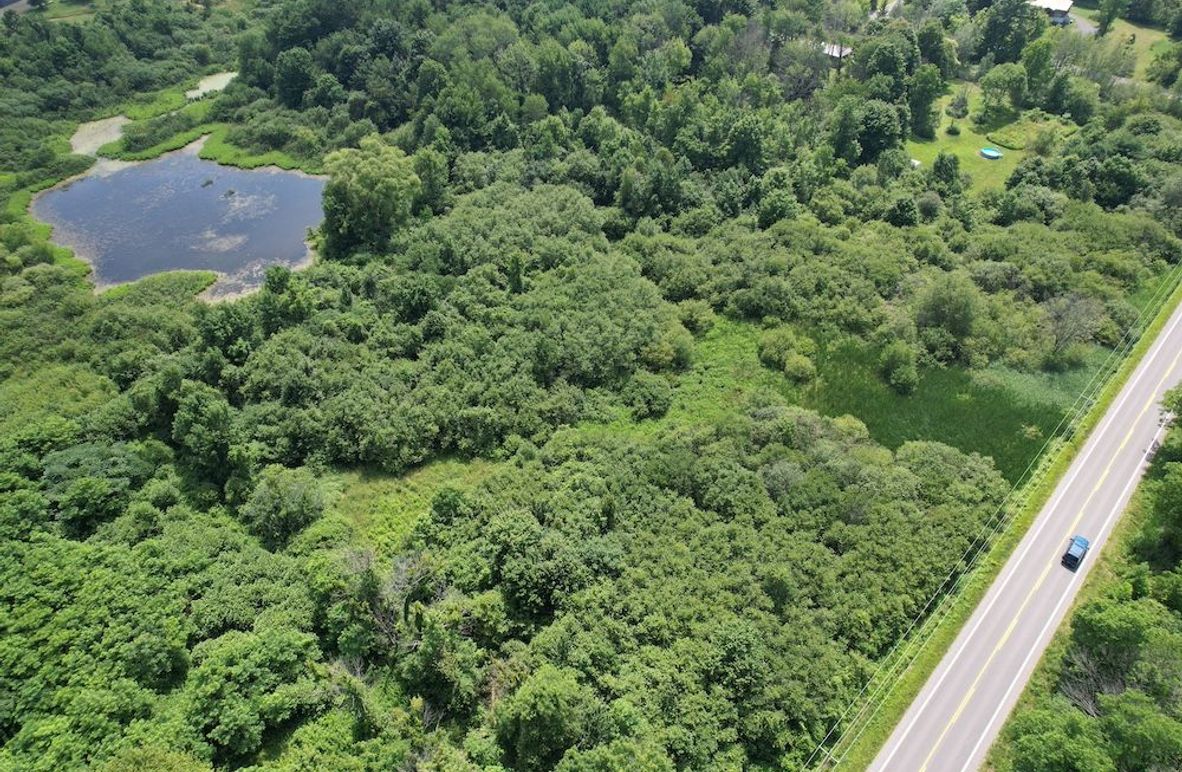 Oswego_13.95_Moore_Bush_Photos_2