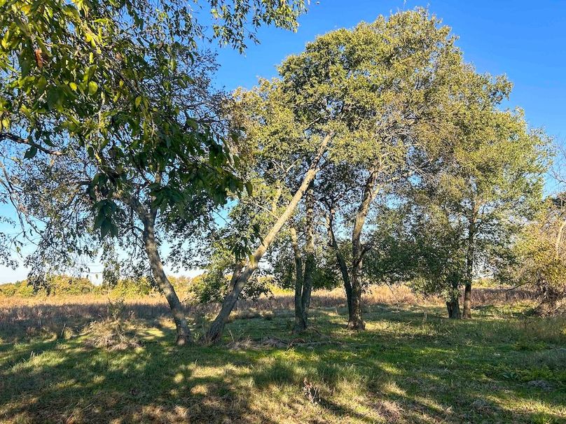 Hunt County- 44.51 acres (13 of 29)