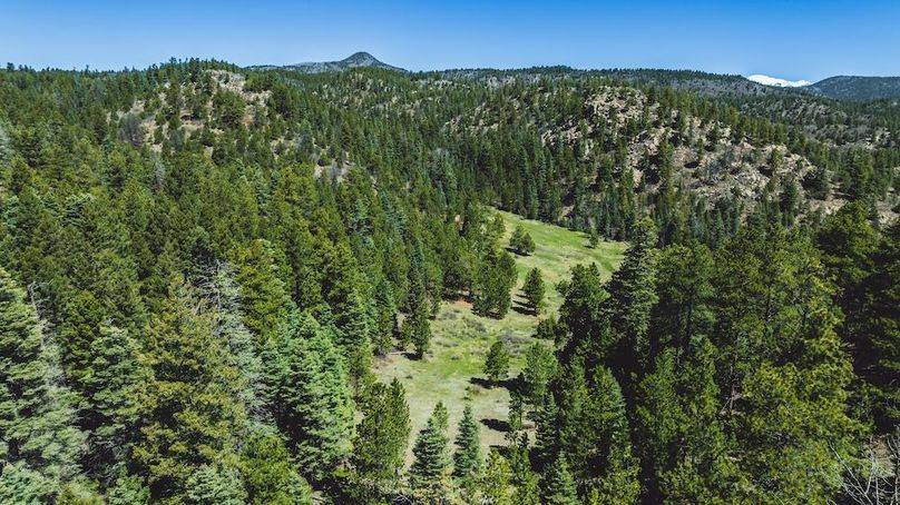 DJI_20240517125749_0086_D