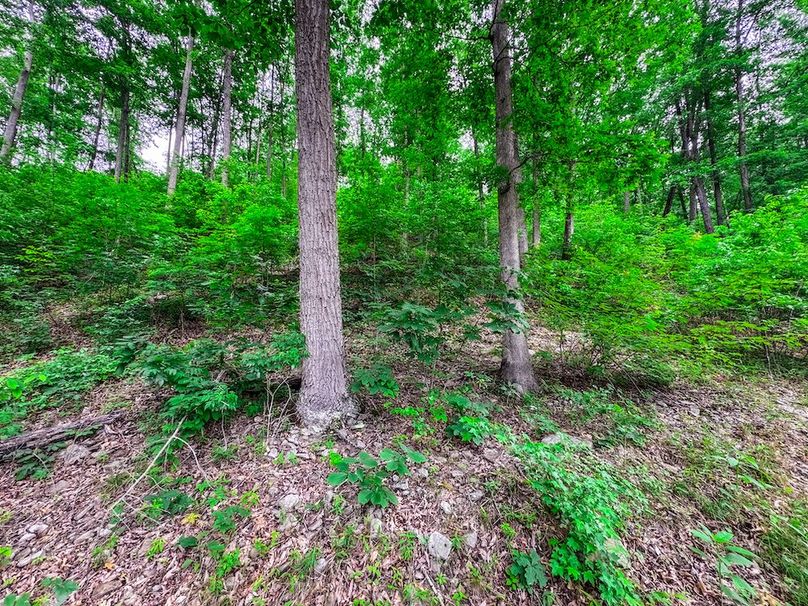 Clay, WV 14.839 AC-14