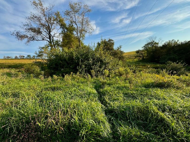 Richland 199Ground - 27