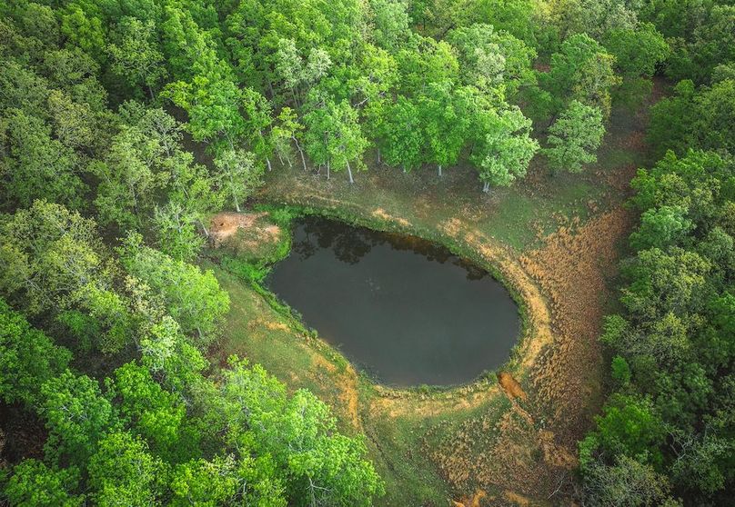 DJI_20250501182556_0347_D