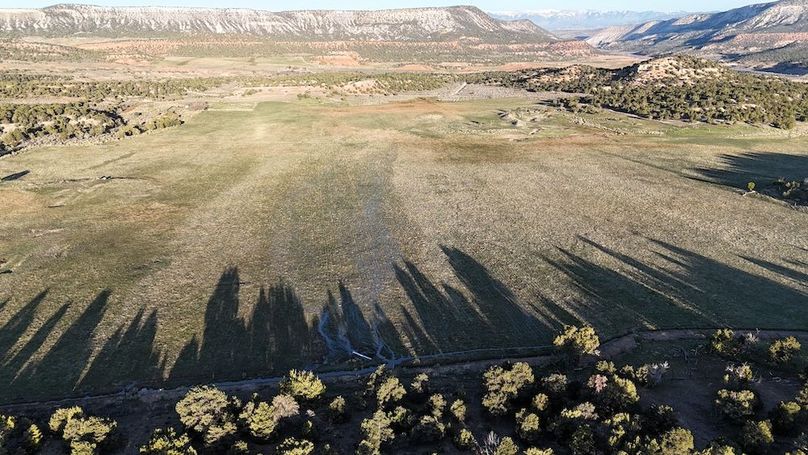 DJI_20250411074634_0081_D